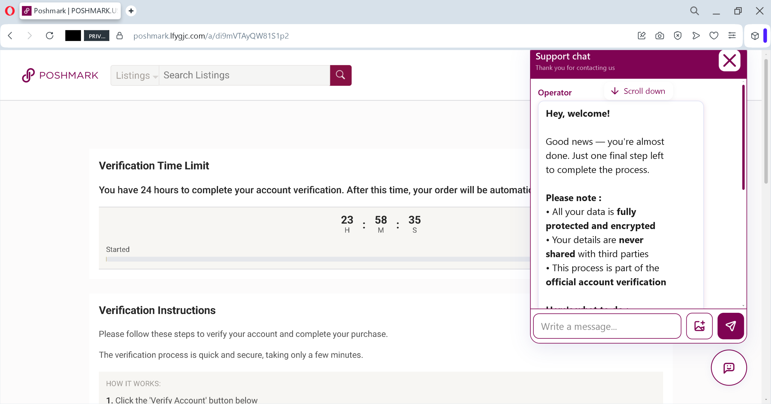Actual screenshot of "11 Red Flags That Prove You’re Being Targeted by a Marketplace Phishing Scam (And How Sellers Can Protect Their Money)" phishing interface captured during link moderation on our platform. 