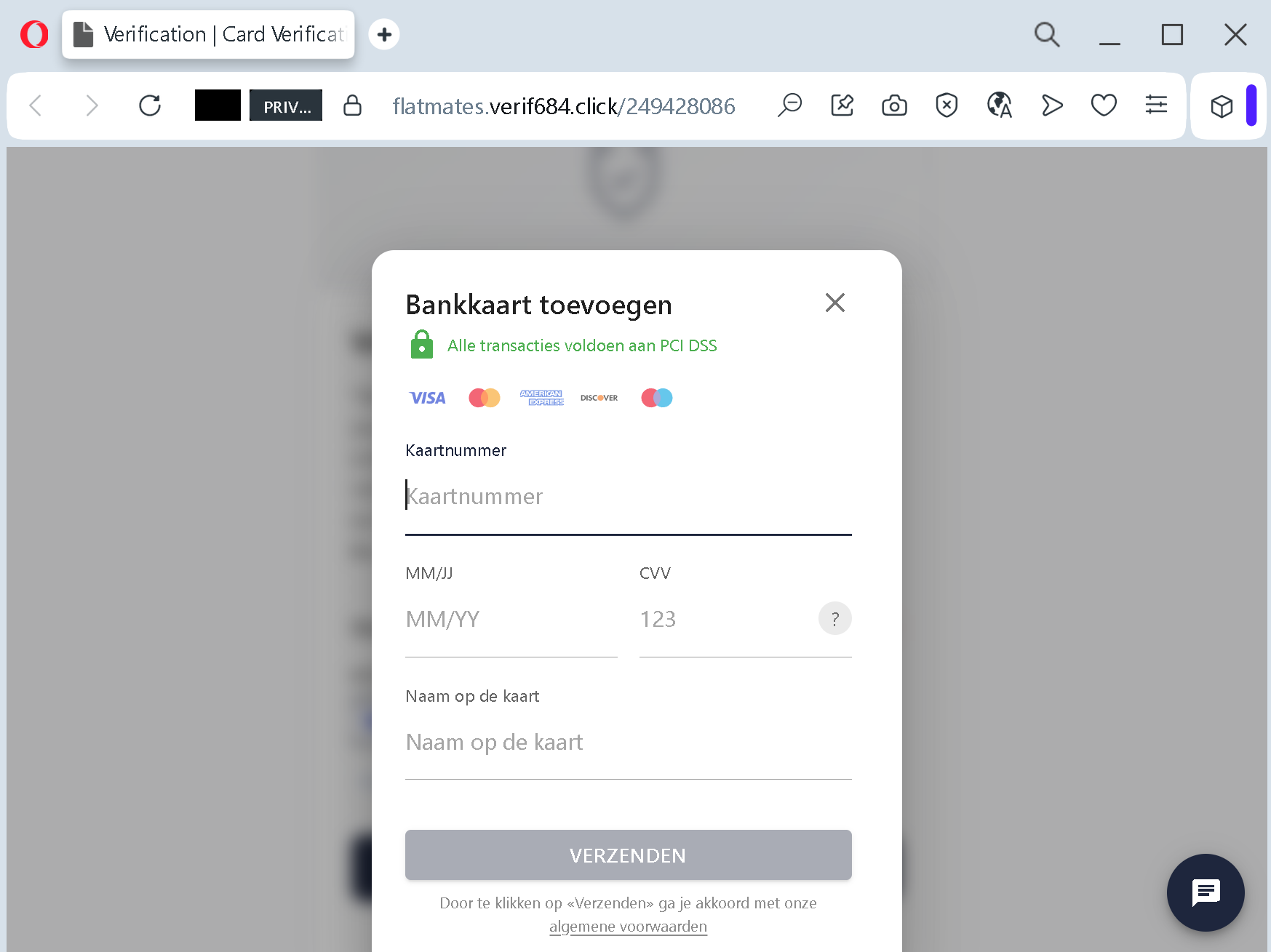 Actual screenshot 2 of "How to Spot and Stop a Payment Information Scam Targeting Flatmate Platform Users" phishing interface captured during link moderation on our platform. 